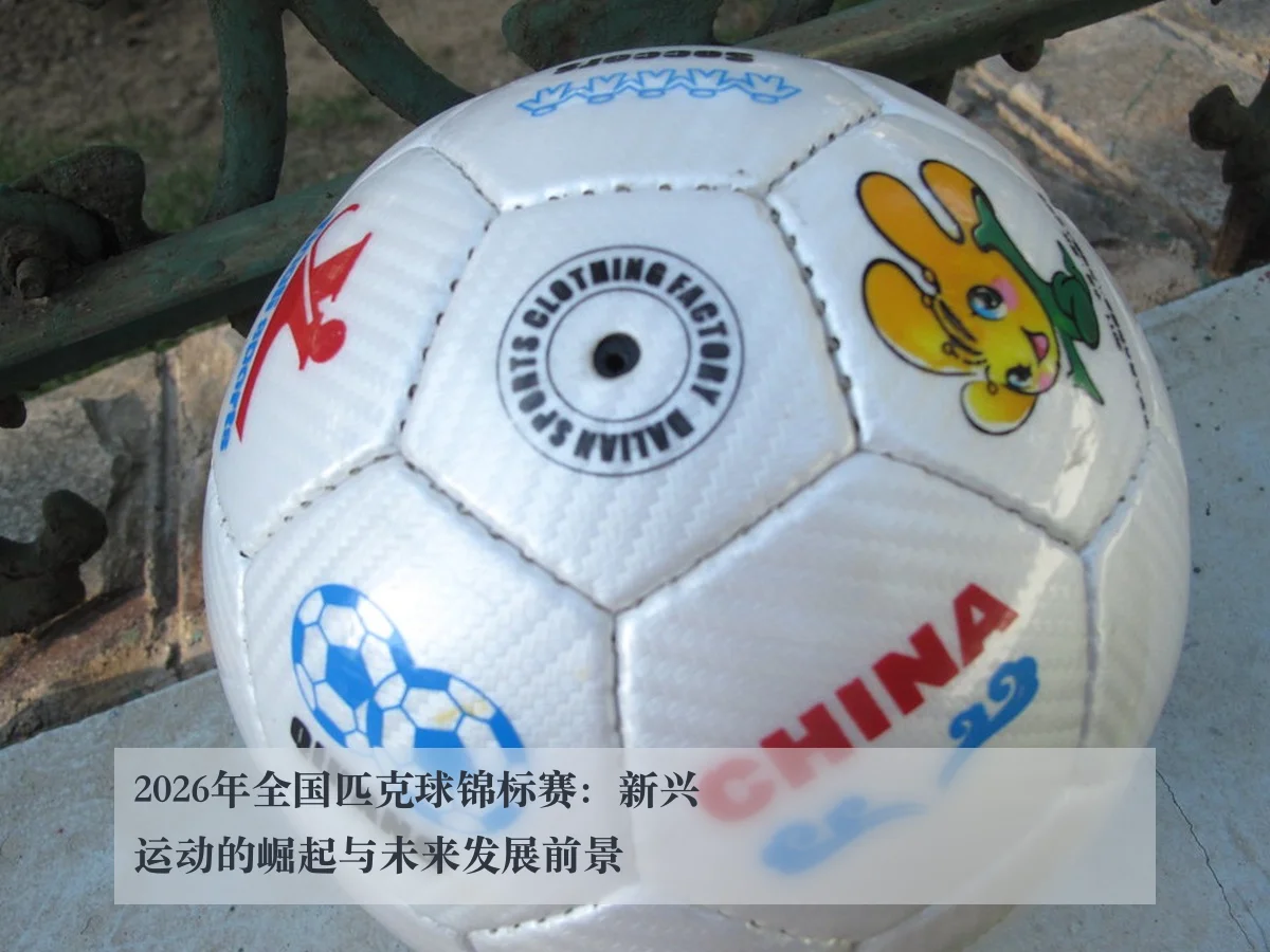 2026年全国匹克球锦标赛:新兴运动的崛起与未来发展前景